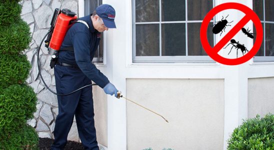 Eyüp Akrep İlaçlama böcek ilaçlama ve haşere kontrolü — ilaclama-tr.com